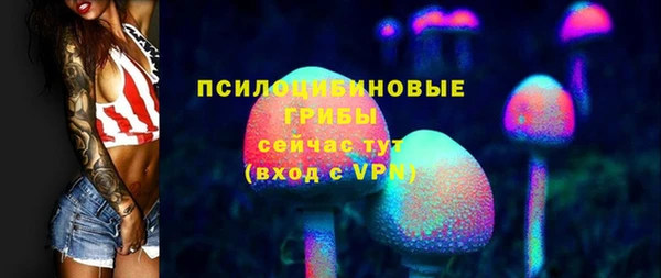 apvp Белокуриха