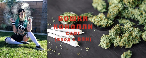 apvp Белокуриха